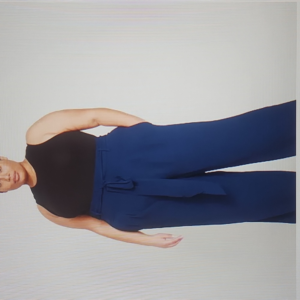 BNWOT-UNIVERSAL STANDARD small navy tressa pants